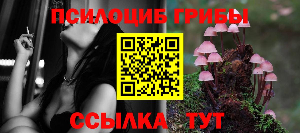 Псилоцибиновые грибы прущие грибы Тавда